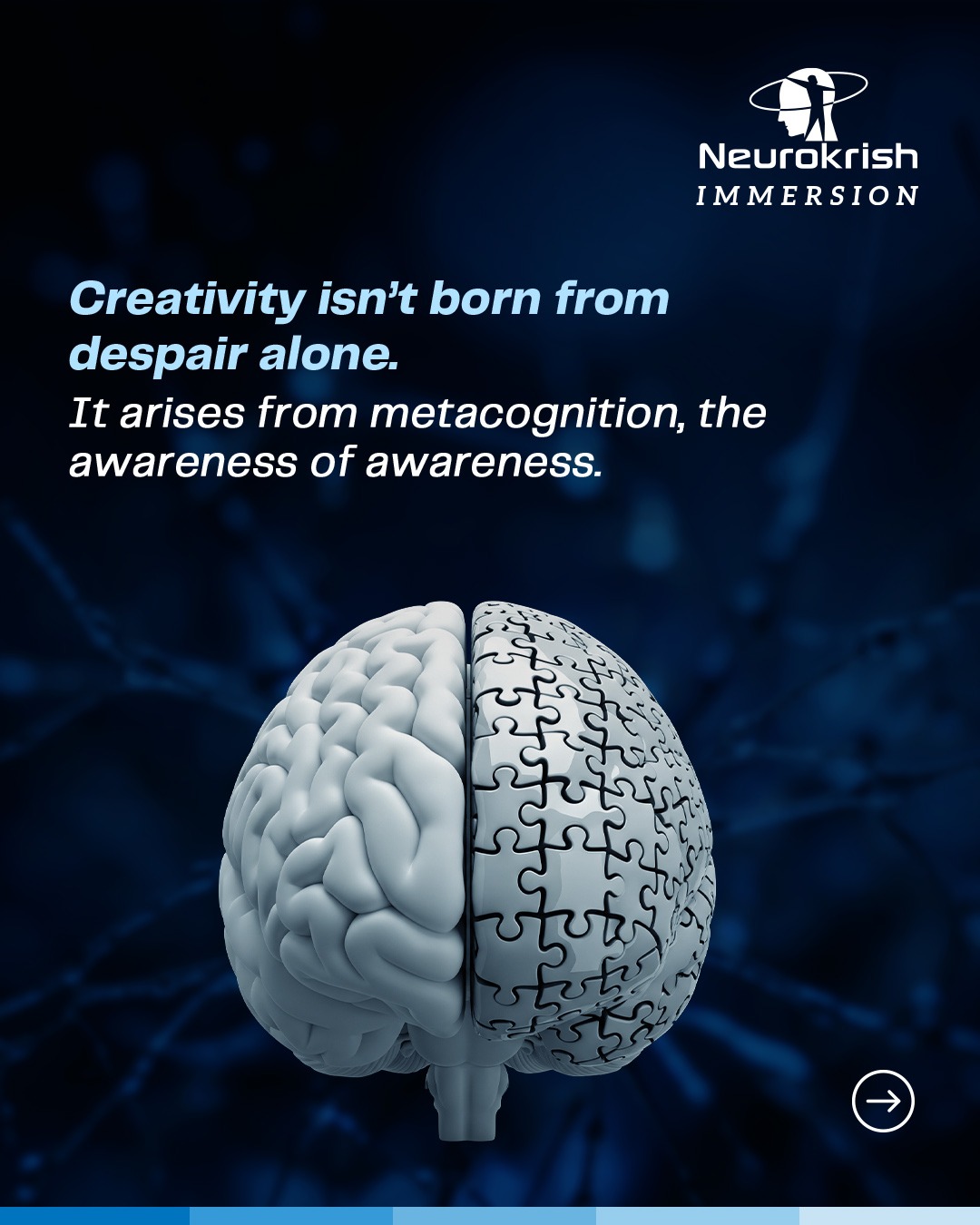 Neurokrish episode 4